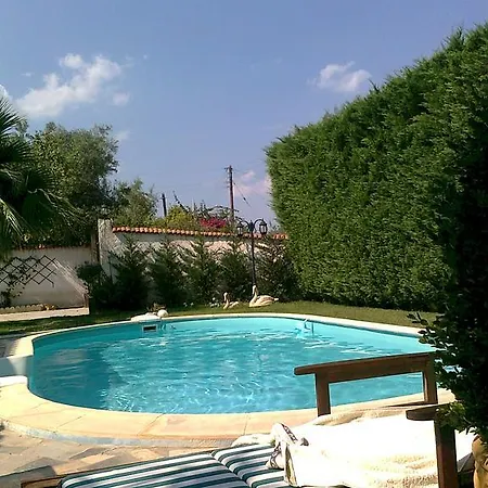 Mini Paradise